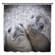 Two Elephant Seals Bath Decor 93910778