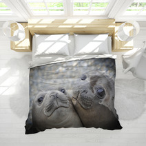 Two Elephant Seals Bedding 93910778