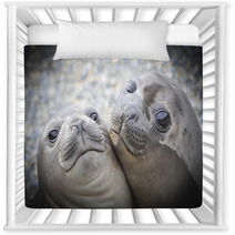 Two Elephant Seals Nursery Decor 93910778