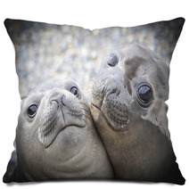 Two Elephant Seals Pillows 93910778