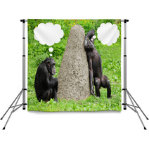 Two Funny Chimpanzees With Speech Bubles. Backdrops 54310090