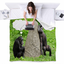 Two Funny Chimpanzees With Speech Bubles. Blankets 54310090