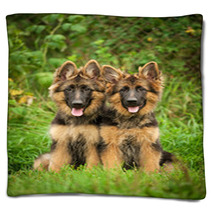 Two German Shepherd Puppies Blankets 58843926