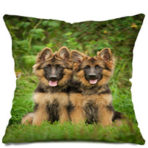 Two German Shepherd Puppies Pillows 58843926