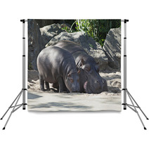 Two Hippos, Mother And Child Backdrops 64214462