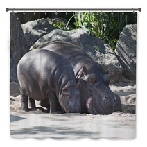 Two Hippos, Mother And Child Bath Decor 64214462