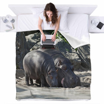 Two Hippos, Mother And Child Blankets 64214462
