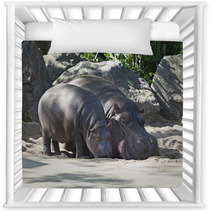 Two Hippos, Mother And Child Nursery Decor 64214462
