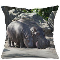 Two Hippos, Mother And Child Pillows 64214462