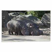 Two Hippos, Mother And Child Rugs 64214462