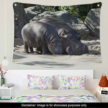 Two Hippos, Mother And Child Wall Art 64214462