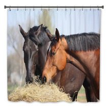 Two Horses Eating Hay Bath Decor 44133991
