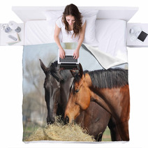 Two Horses Eating Hay Blankets 44133991