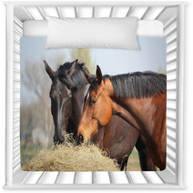 Two Horses Eating Hay Nursery Decor 44133991
