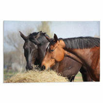 Two Horses Eating Hay Rugs 44133991