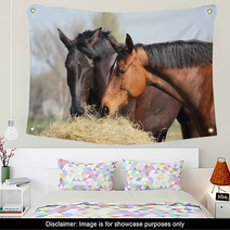 Two Horses Eating Hay Wall Art 44133991