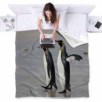 Two King Penguins On The Beach Blankets 50922406