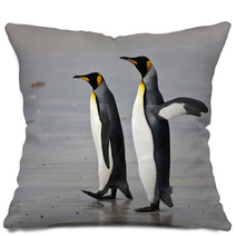 Two King Penguins On The Beach Pillows 50922406
