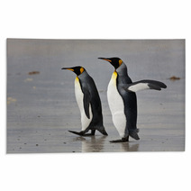 Two King Penguins On The Beach Rugs 50922406