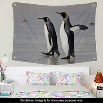 Two King Penguins On The Beach Wall Art 50922406