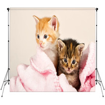 Two Kittens In A Pink Blanket Backdrops 47252735