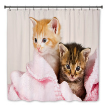 Two Kittens In A Pink Blanket Bath Decor 47252735