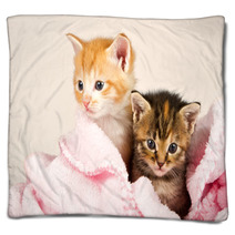 Two Kittens In A Pink Blanket Blankets 47252735