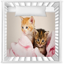 Two Kittens In A Pink Blanket Nursery Decor 47252735