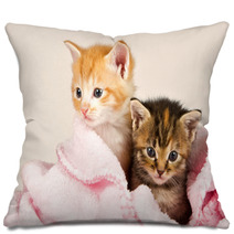 Two Kittens In A Pink Blanket Pillows 47252735