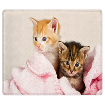 Two Kittens In A Pink Blanket Rugs 47252735