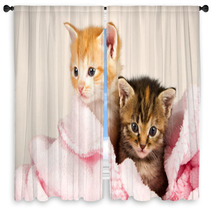 Two Kittens In A Pink Blanket Window Curtains 47252735