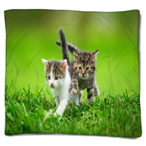 Two Little Kittens On The Grass Blankets 59098499