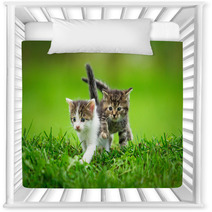 Two Little Kittens On The Grass Nursery Decor 59098499