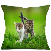 Two Little Kittens On The Grass Pillows 59098499