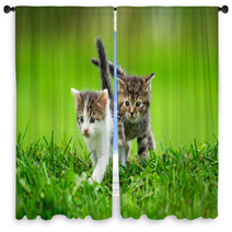 Two Little Kittens On The Grass Window Curtains 59098499