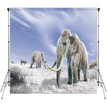 Two Mammoth In A Field Covered Of Snow Backdrops 39330962
