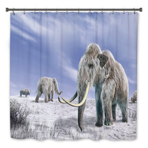 Two Mammoth In A Field Covered Of Snow Bath Decor 39330962