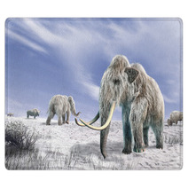 Two Mammoth In A Field Covered Of Snow Rugs 39330962