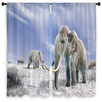 Two Mammoth In A Field Covered Of Snow Window Curtains 39330962