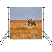 Two Oryx In The Savannah Backdrops 82269161