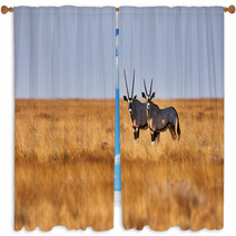 Two Oryx In The Savannah Window Curtains 82269161