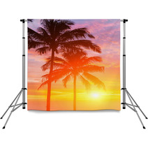 Two Palm And Beautiful Sunset Backdrops 46425042