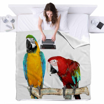 Two Parrots Blankets 71943972