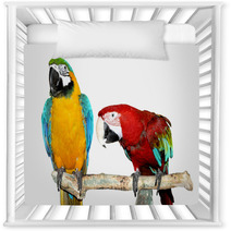 Two Parrots Nursery Decor 71943972