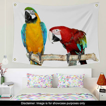 Two Parrots Wall Art 71943972
