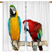 Two Parrots Window Curtains 71943972