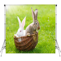 Two Rabbits In Wicker Basket Backdrops 65707687