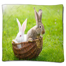 Two Rabbits In Wicker Basket Blankets 65707687