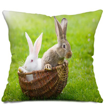 Two Rabbits In Wicker Basket Pillows 65707687