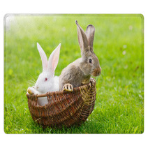 Two Rabbits In Wicker Basket Rugs 65707687
